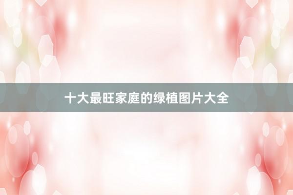 十大最旺家庭的绿植图片大全