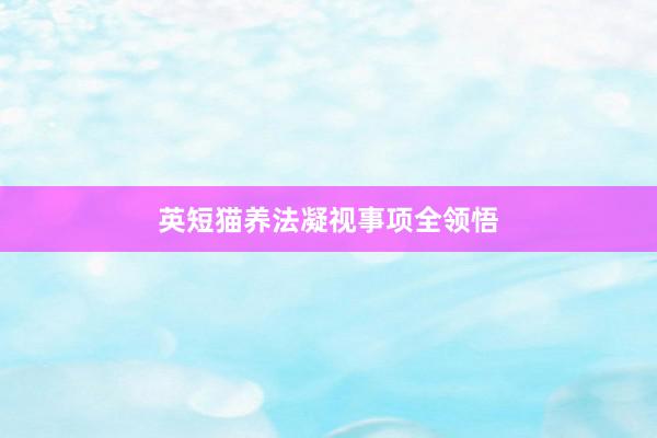 英短猫养法凝视事项全领悟