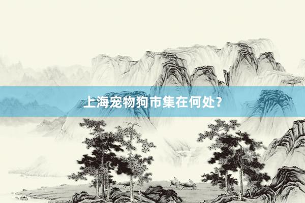上海宠物狗市集在何处？