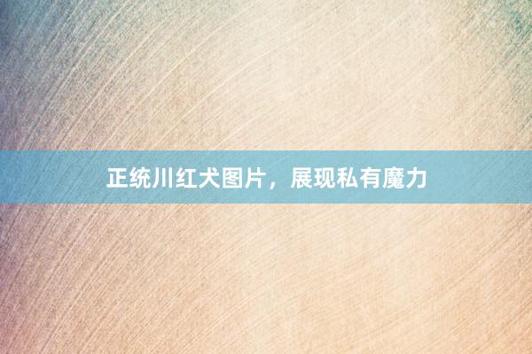 正统川红犬图片，展现私有魔力