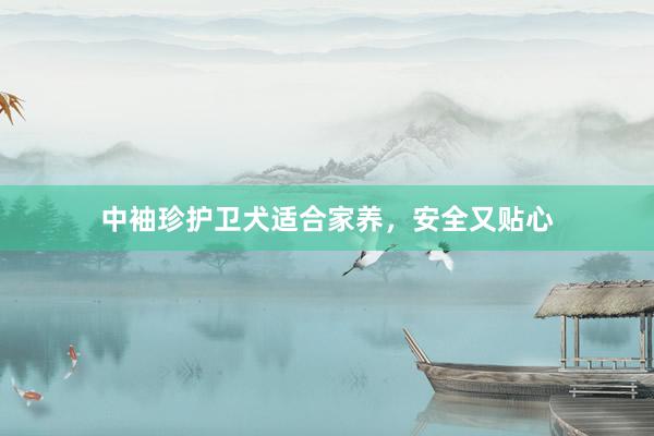 中袖珍护卫犬适合家养，安全又贴心